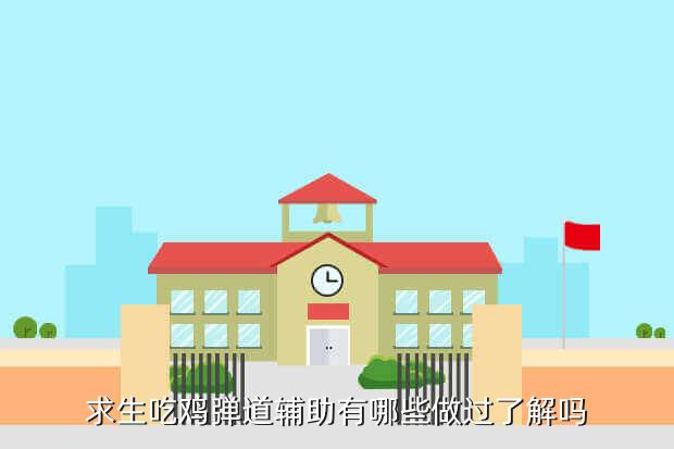 吃鸡辅瞄是什么_吃鸡自瞄辅助_吃鸡里辅助瞄准是什么