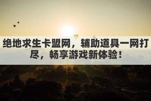 外挂卡盟