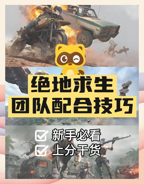 绝地求生单排